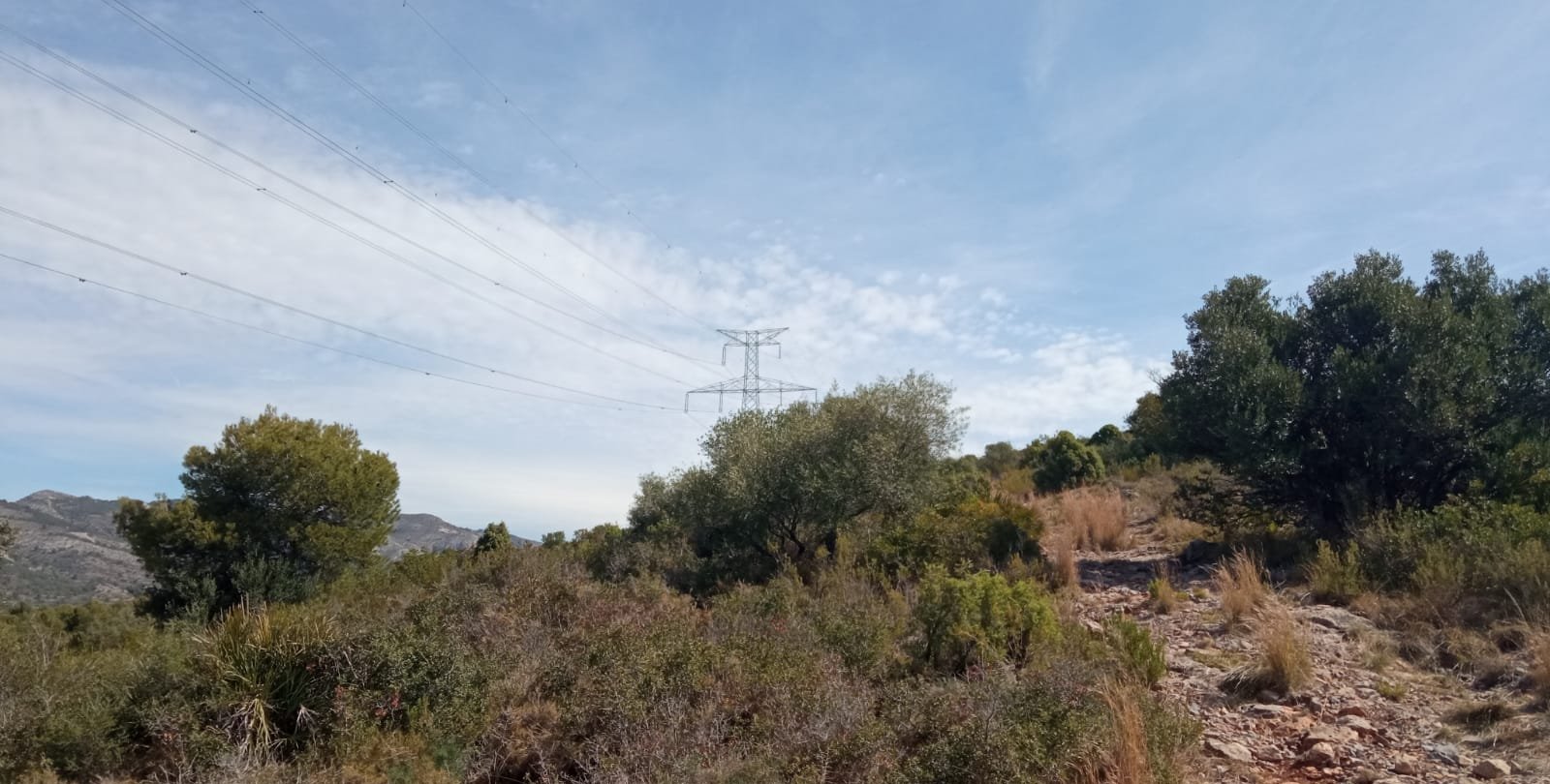 Terreno Urbano en venta en Borriol, Castellón