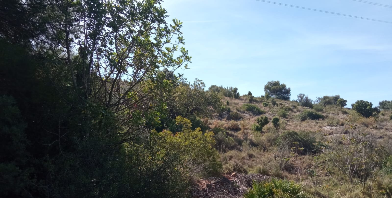 Terreno Urbano en venta en Borriol, Castellón