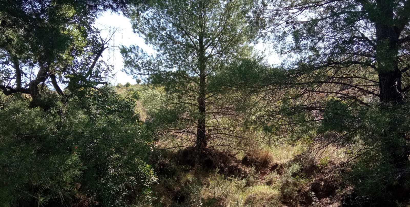 Terreno Urbano en venta en Borriol, Castellón