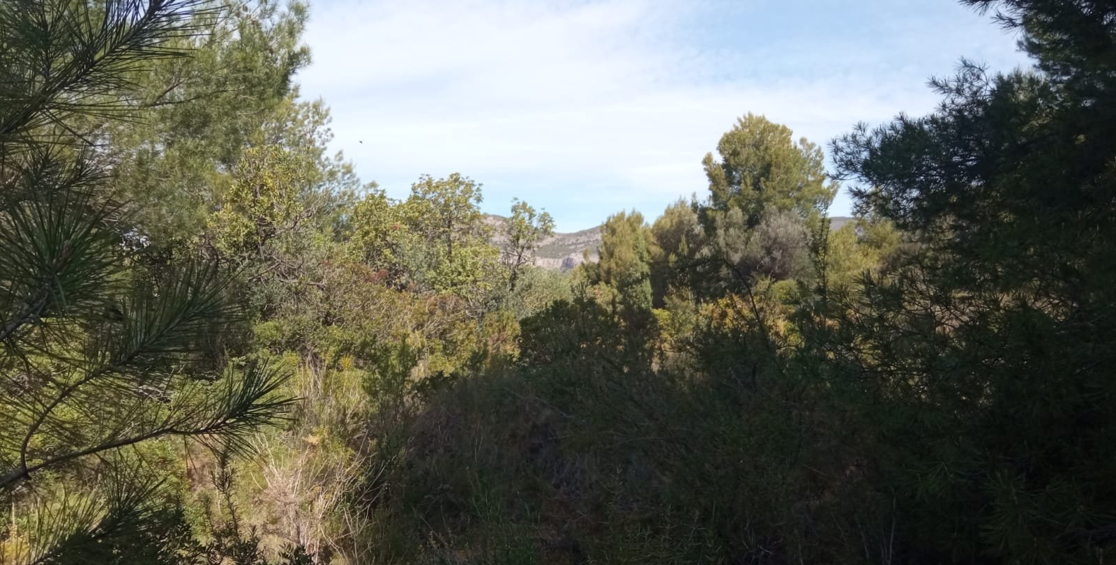 Terreno Urbano en venta en Borriol, Castellón