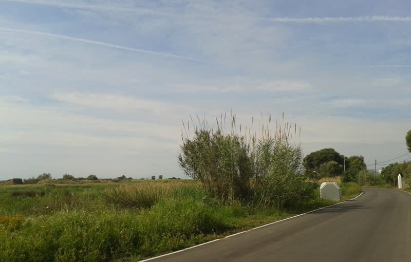 Urbanizable Programado en venta en Camino Partida Bovalar Moncofa Castelln