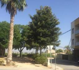 Garaje en venta en Calle Virgen Del Pilar Benejzar Alicante