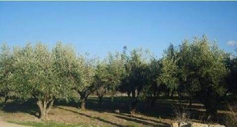 No Urbanizable (Rústico) en venta  en Avenida Del Llombo, Ontinyent, Valencia
