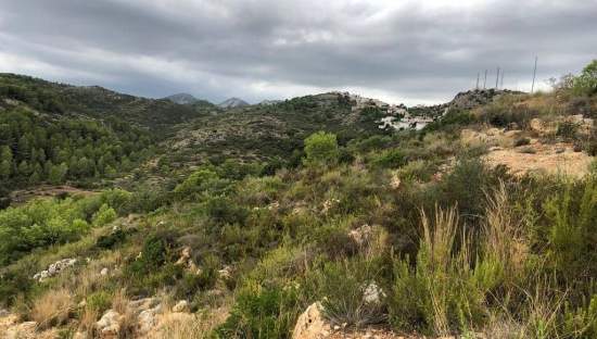 No Urbanizable Rstico en venta  en Calle Partida De Les Boleries Gata De Gorgos Alicante