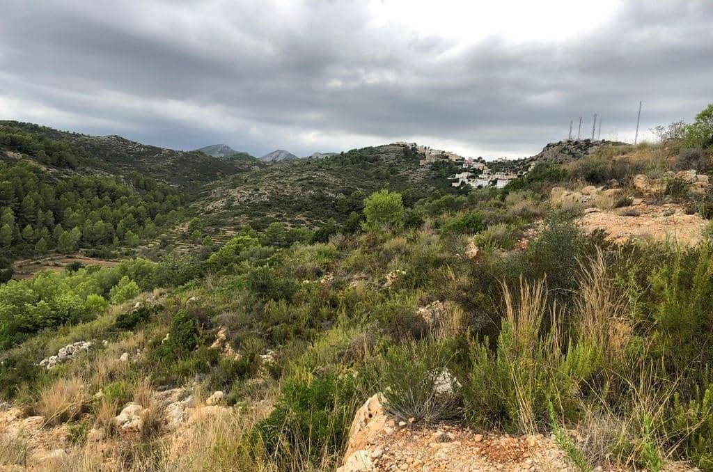 No Urbanizable Rstico en venta  en Calle Partida De Les Boleries Gata De Gorgos Alicante