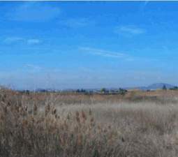 Terreno Rústico en venta en El Puig, Valencia