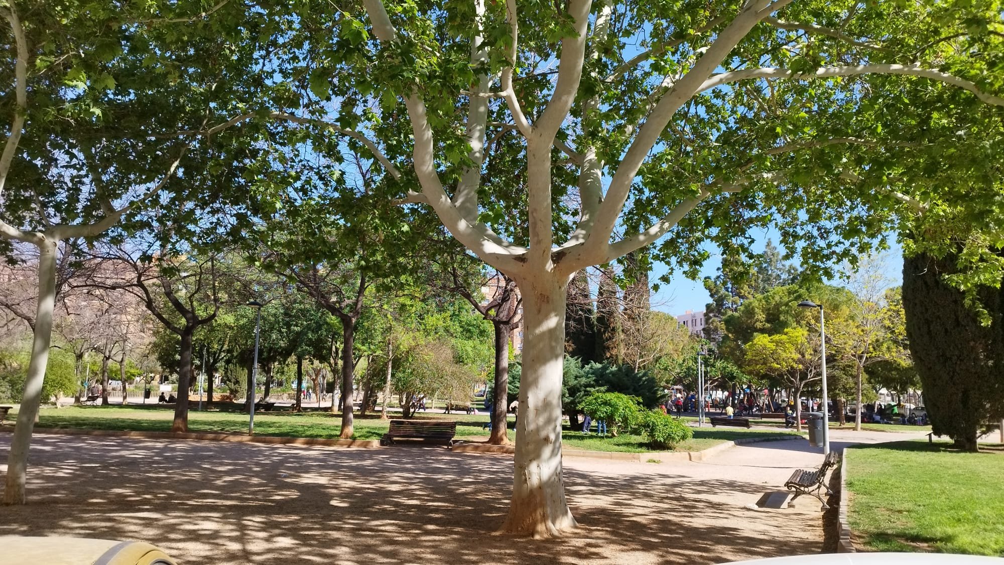 Piso en Castellón De La Plana, Castellón