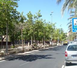 Local Comercial en venta  en Calle Andres Furio Brotons Elche Alicante