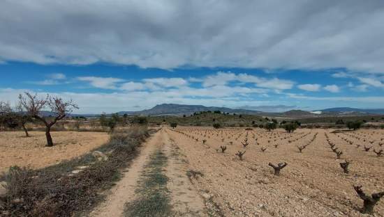 Suelo Rstico No Urbanizable en venta en Pasaje Umbria La Abanilla Murcia