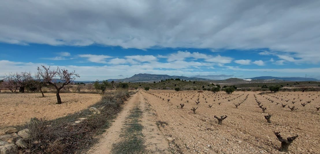 Suelo Rstico No Urbanizable en venta en Pasaje Umbria La Abanilla Murcia