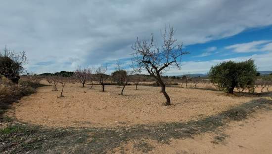 Suelo Rstico No Urbanizable en venta en Pasaje Umbria La Abanilla Murcia