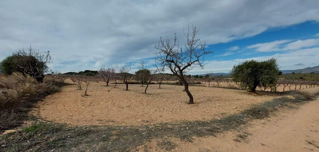 Suelo Rstico No Urbanizable en venta en Pasaje Umbria La Abanilla Murcia