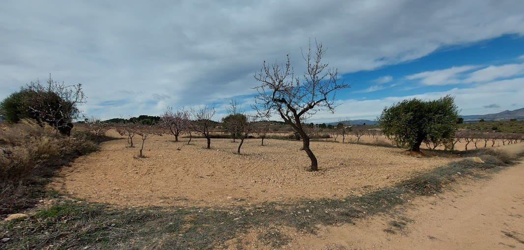 Suelo Rstico No Urbanizable en venta en Pasaje Umbria La Abanilla Murcia