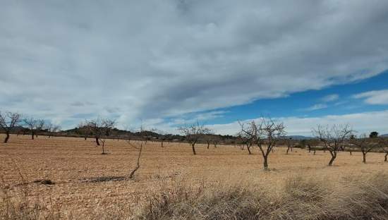 Suelo Rstico No Urbanizable en venta en Pasaje Umbria La Abanilla Murcia