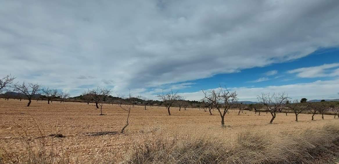 Suelo Rstico No Urbanizable en venta en Pasaje Umbria La Abanilla Murcia