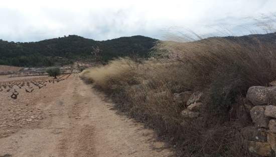 Suelo Rstico No Urbanizable en venta en Pasaje Umbria La Abanilla Murcia