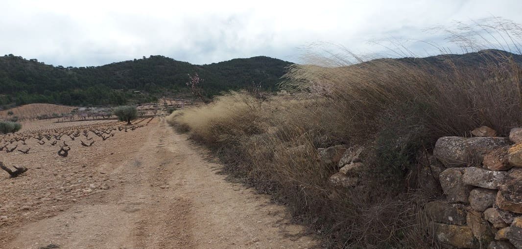 Suelo Rstico No Urbanizable en venta en Pasaje Umbria La Abanilla Murcia