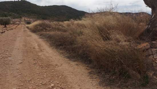 Suelo Rstico No Urbanizable en venta en Pasaje Umbria La Abanilla Murcia
