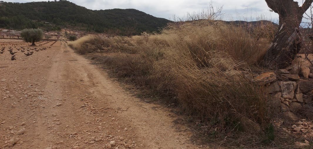 Suelo Rstico No Urbanizable en venta en Pasaje Umbria La Abanilla Murcia