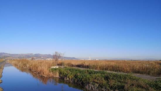 No Urbanizable Rstico en venta  en Camino Molino Bajo La Llosa Castelln