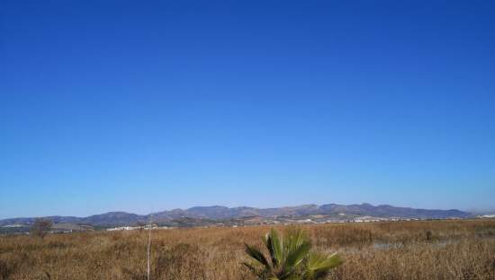 No Urbanizable Rstico en venta  en Camino Molino Bajo La Llosa Castelln