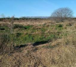 Finca Rústica En Venta En Partida Rafol, Polig. 3, Parc. 416, Chilchesxilxes