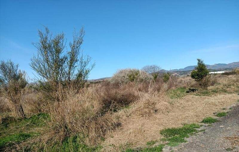 Finca Rústica En Venta En Partida Rafol, Polig. 3, Parc. 416, Chilchesxilxes