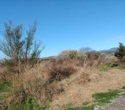 Finca Rústica En Venta En Partida Rafol, Polig. 3, Parc. 416, Chilchesxilxes