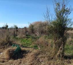 Finca Rústica En Venta En Partida Rafol, Polig. 3, Parc. 416, Chilchesxilxes