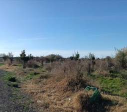 Finca Rústica En Venta En Partida Rafol, Polig. 3, Parc. 416, Chilchesxilxes