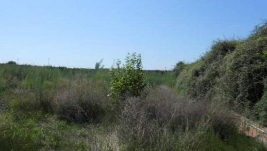 No Urbanizable Rstico en venta  en Camino Montiver Sagunto Valencia