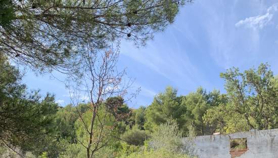 Venta de finca rústica por 210.000 con 513.000m en cpt monegro, poligono, Borriol