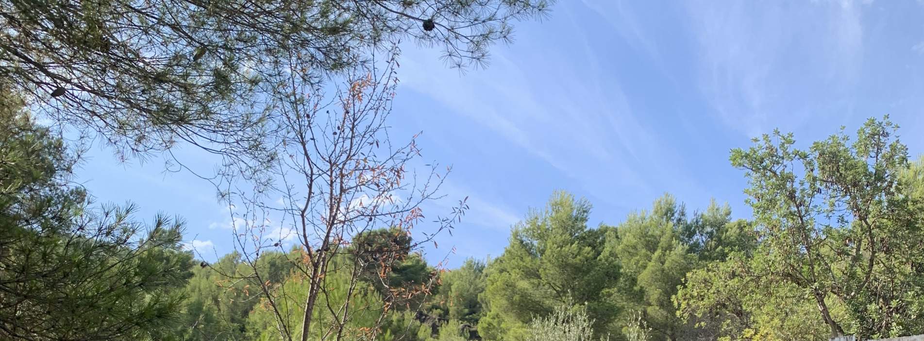 Venta de finca rústica por 210.000 con 513.000m en cpt monegro, poligono, Borriol