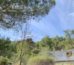 Venta de finca rústica por 210.000 con 513.000m en cpt monegro, poligono, Borriol
