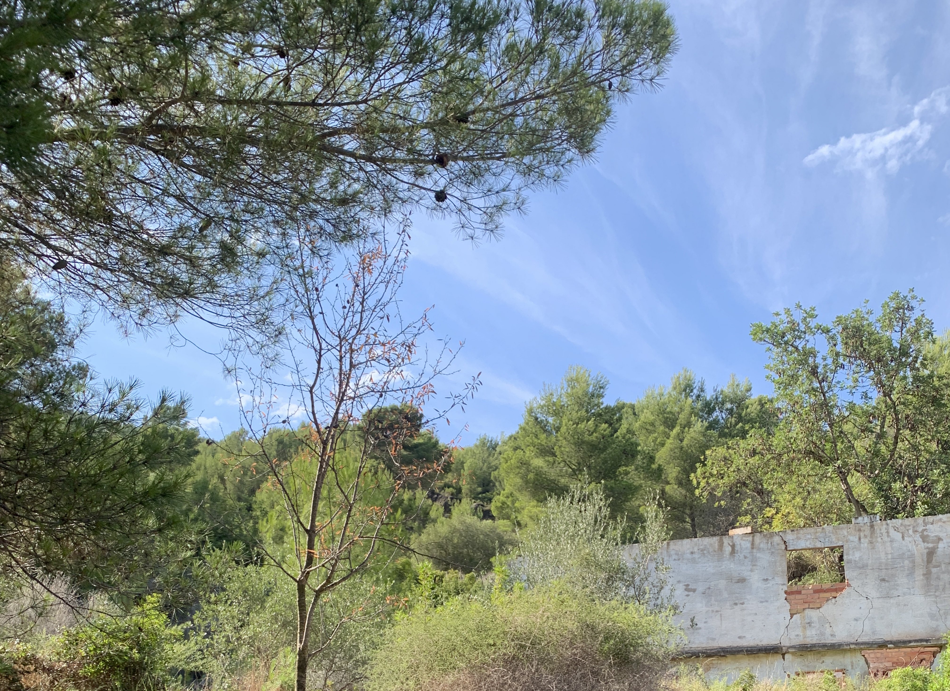 Venta de finca rústica por 210.000 con 513.000m en cpt monegro, poligono, Borriol