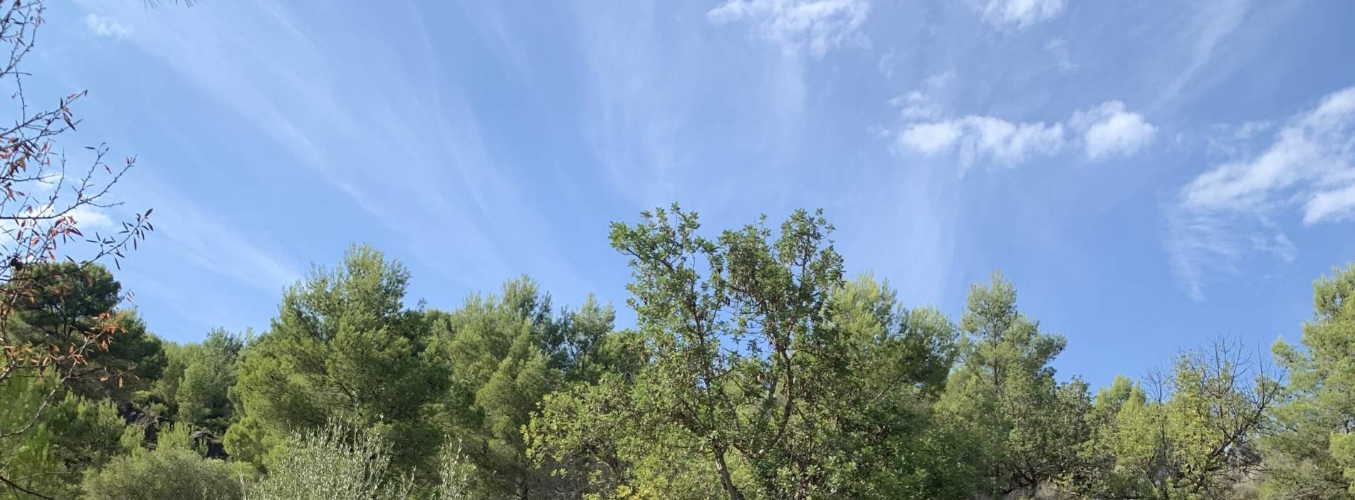 Venta de finca rústica por 210.000 con 513.000m en cpt monegro, poligono, Borriol