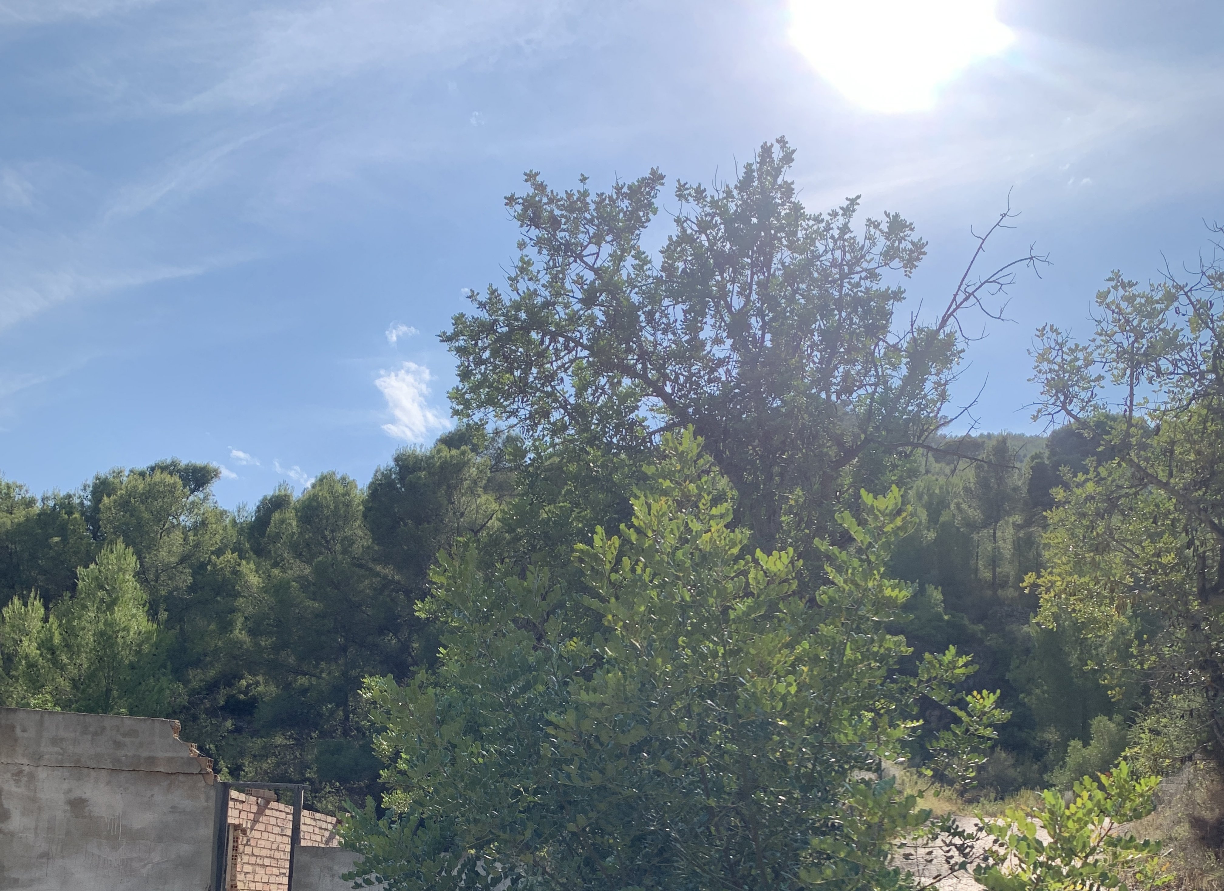 Venta de finca rústica por 210.000 con 513.000m en cpt monegro, poligono, Borriol