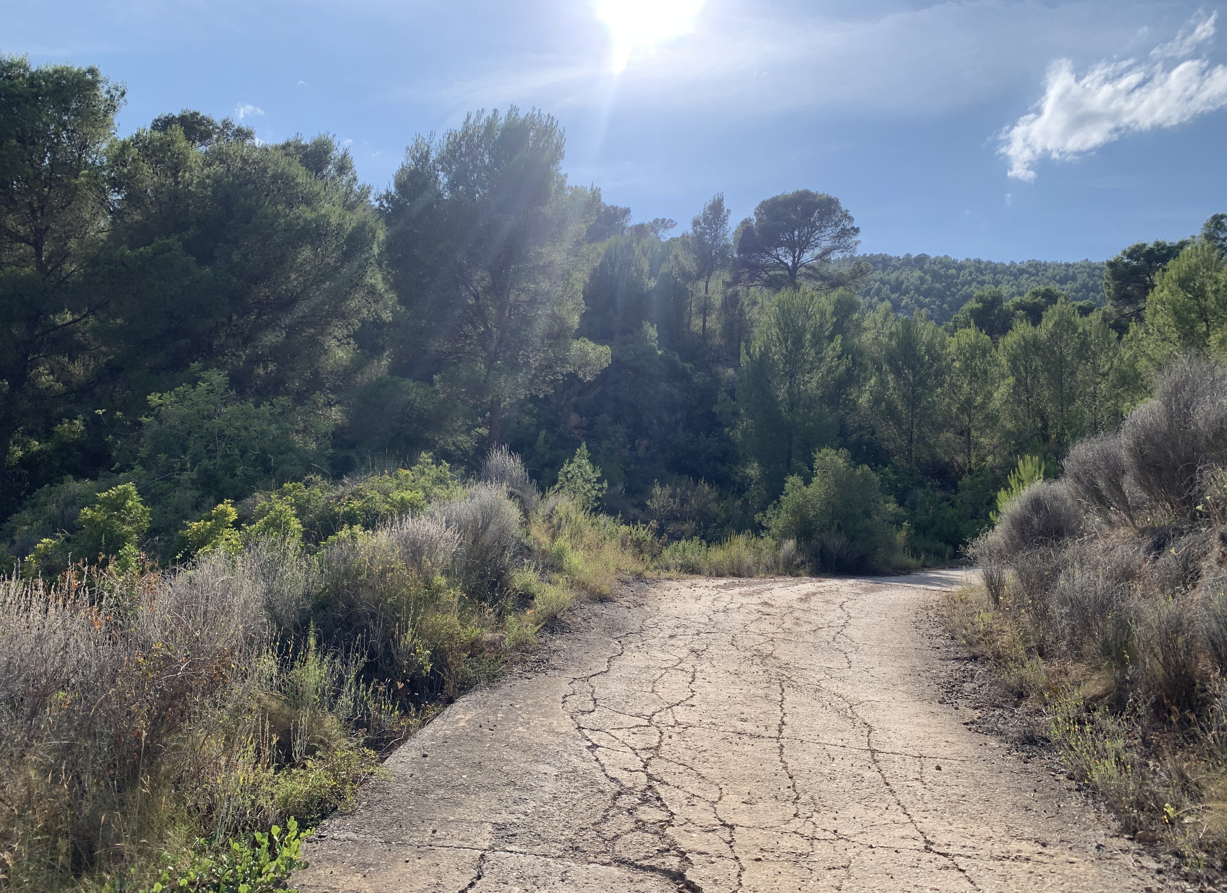 Venta de finca rústica por 210.000 con 513.000m en cpt monegro, poligono, Borriol