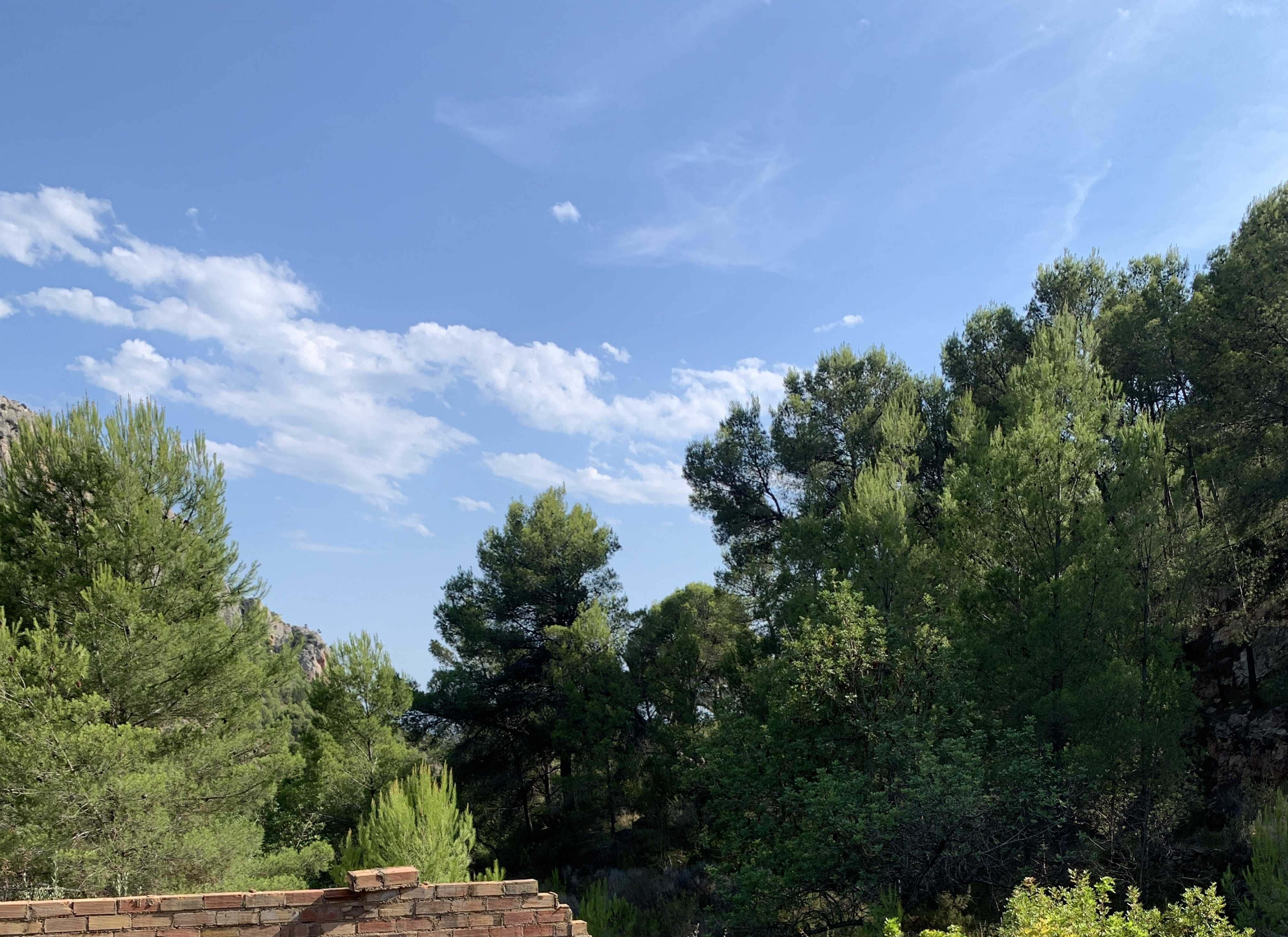 Venta de finca rústica por 210.000 con 513.000m en cpt monegro, poligono, Borriol