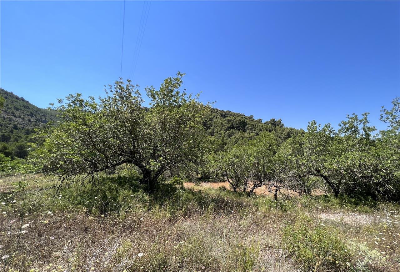 Venta de finca rústica por 210.000 con 513.000m en cpt monegro, poligono, Borriol
