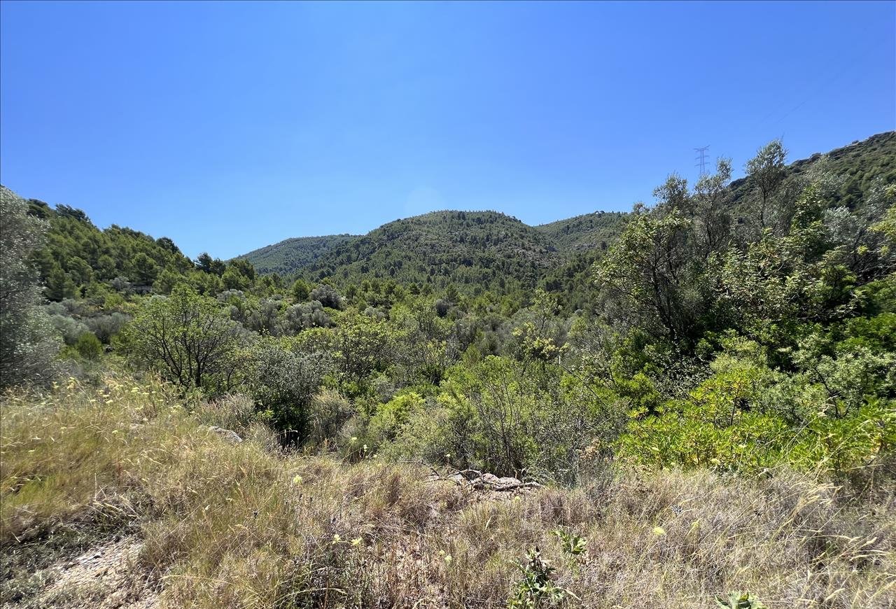 Venta de finca rústica por 210.000 con 513.000m en cpt monegro, poligono, Borriol