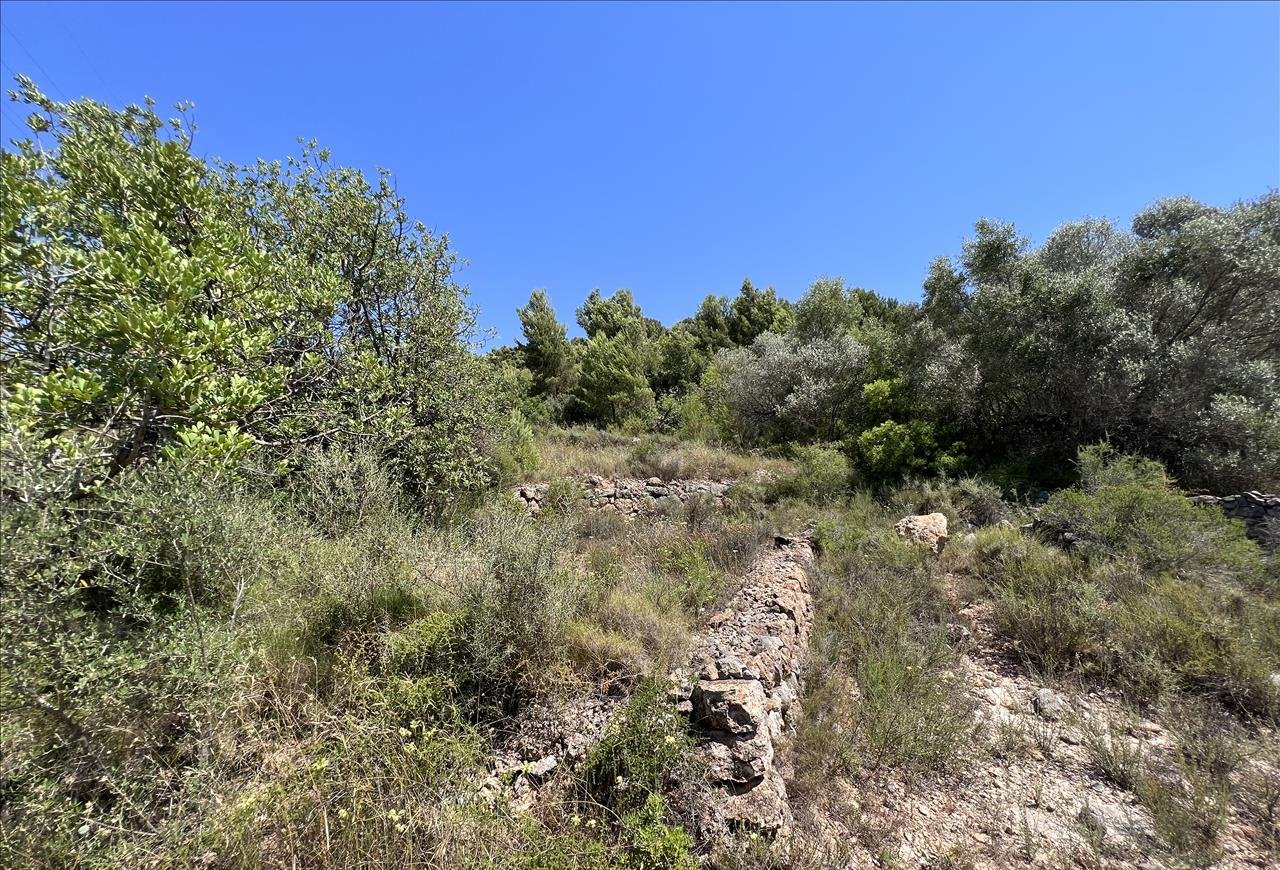 Venta de finca rústica por 210.000 con 513.000m en cpt monegro, poligono, Borriol
