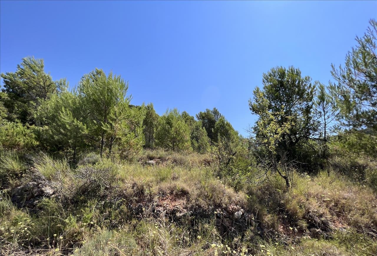 Venta de finca rústica por 210.000 con 513.000m en cpt monegro, poligono, Borriol