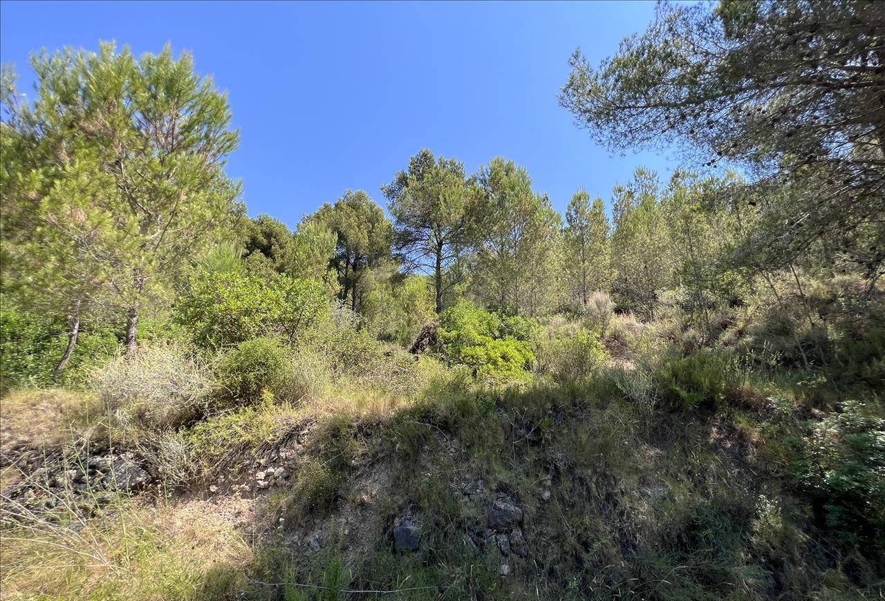 Venta de finca rústica por 210.000 con 513.000m en cpt monegro, poligono, Borriol