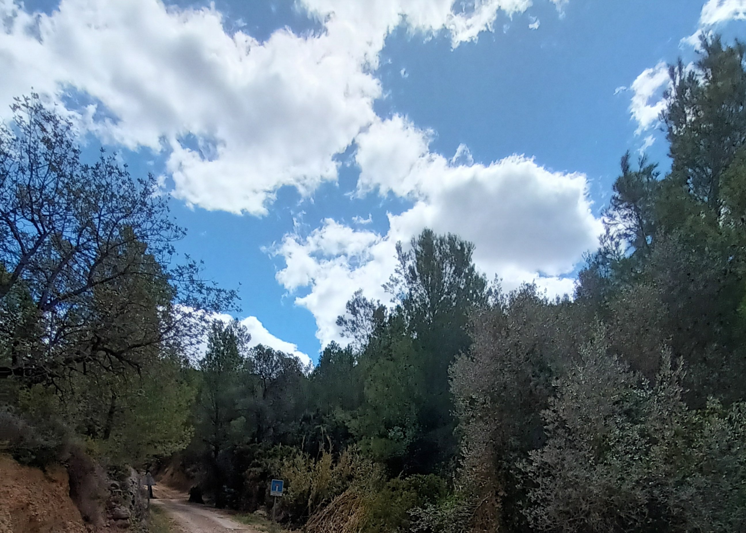 Venta de finca rústica por 210.000 con 513.000m en cpt monegro, poligono, Borriol