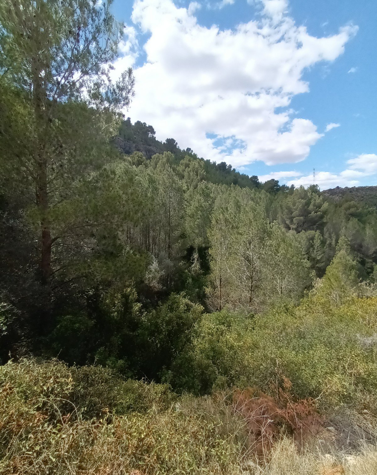 Venta de finca rústica por 210.000 con 513.000m en cpt monegro, poligono, Borriol