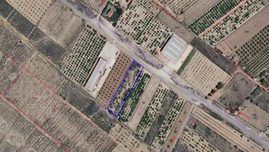 Urbanizable Programado en venta  en Partida Cerd Torreblanca Castelln