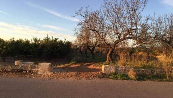 Urbanizable Programado en venta  en Partida Cerd Torreblanca Castelln