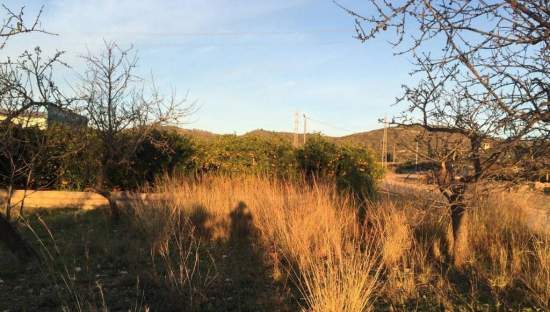 Urbanizable Programado en venta  en Partida Cerd Torreblanca Castelln