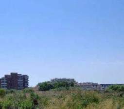 Urbanizable Programado en venta  en Avenida Arros (Parcela 21- Sector C8), Sueca, Valencia